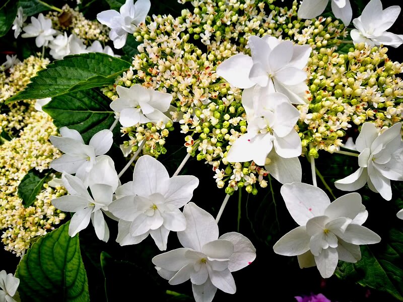 會(huì)展設(shè)計(jì)