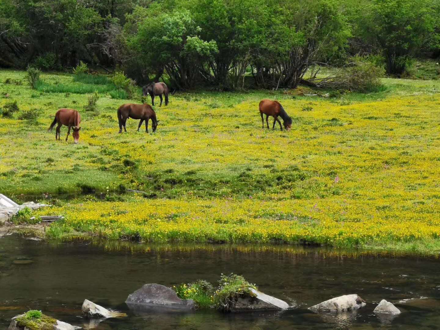 研學(xué)的重要意義，對研學(xué)的各項探索都怎么進(jìn)行的
