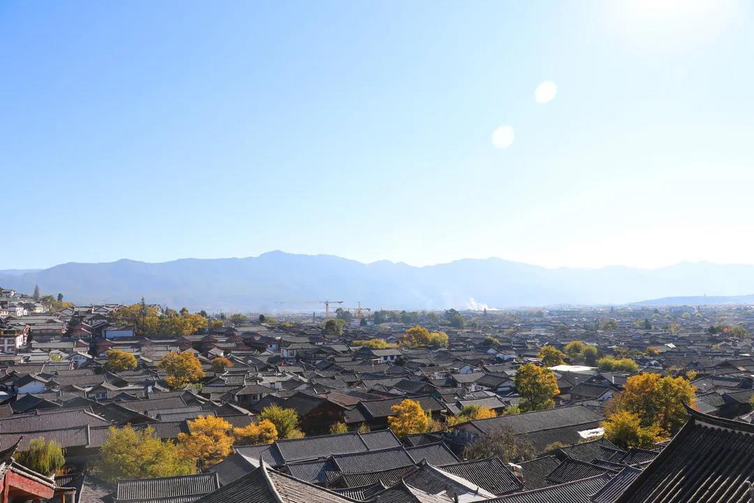 藏在麗江古城街頭巷尾的樹(shù)，一入冬就美成了畫(huà)