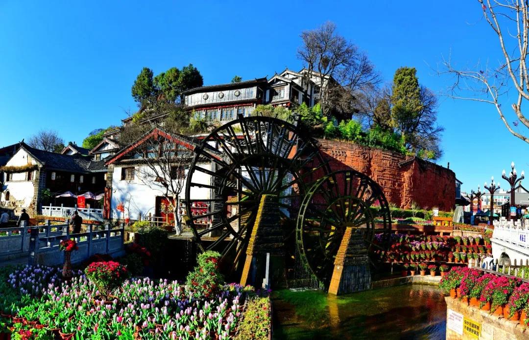 來了麗江古城，才知道什么叫“春天”