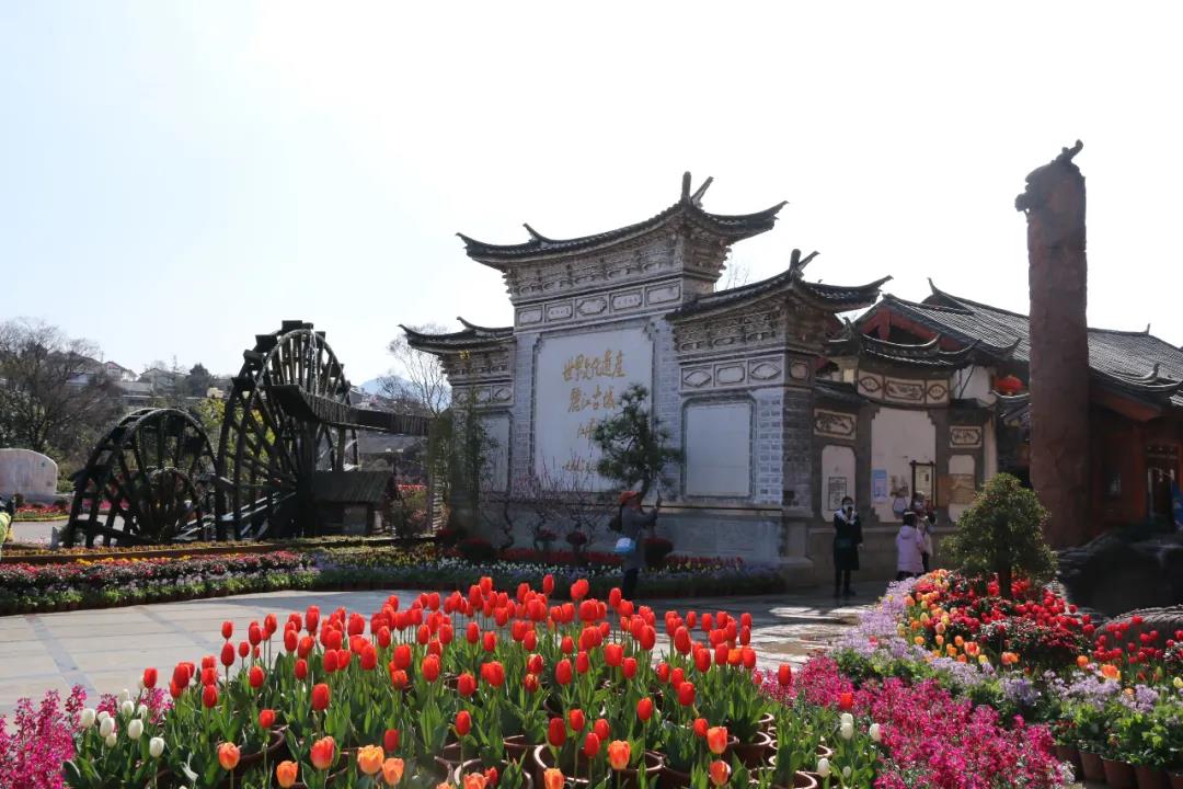 年味足、春意濃! 麗江古城春節(jié)假日旅游回暖