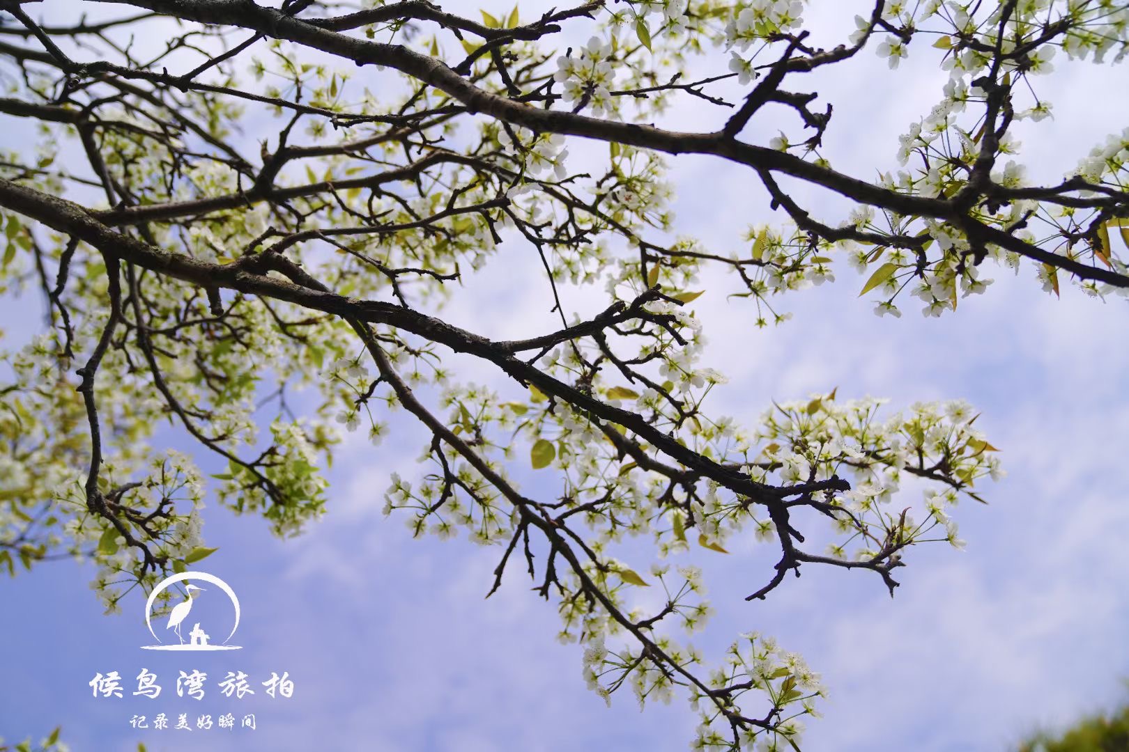 麗江拉市海候鳥(niǎo)灣戶(hù)外拓展基地