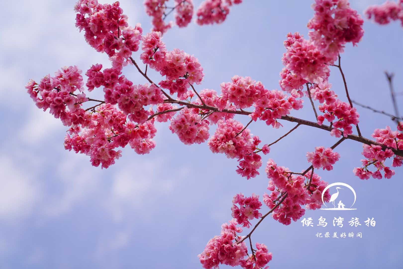 麗江拉市海候鳥(niǎo)灣戶(hù)外拓展基地