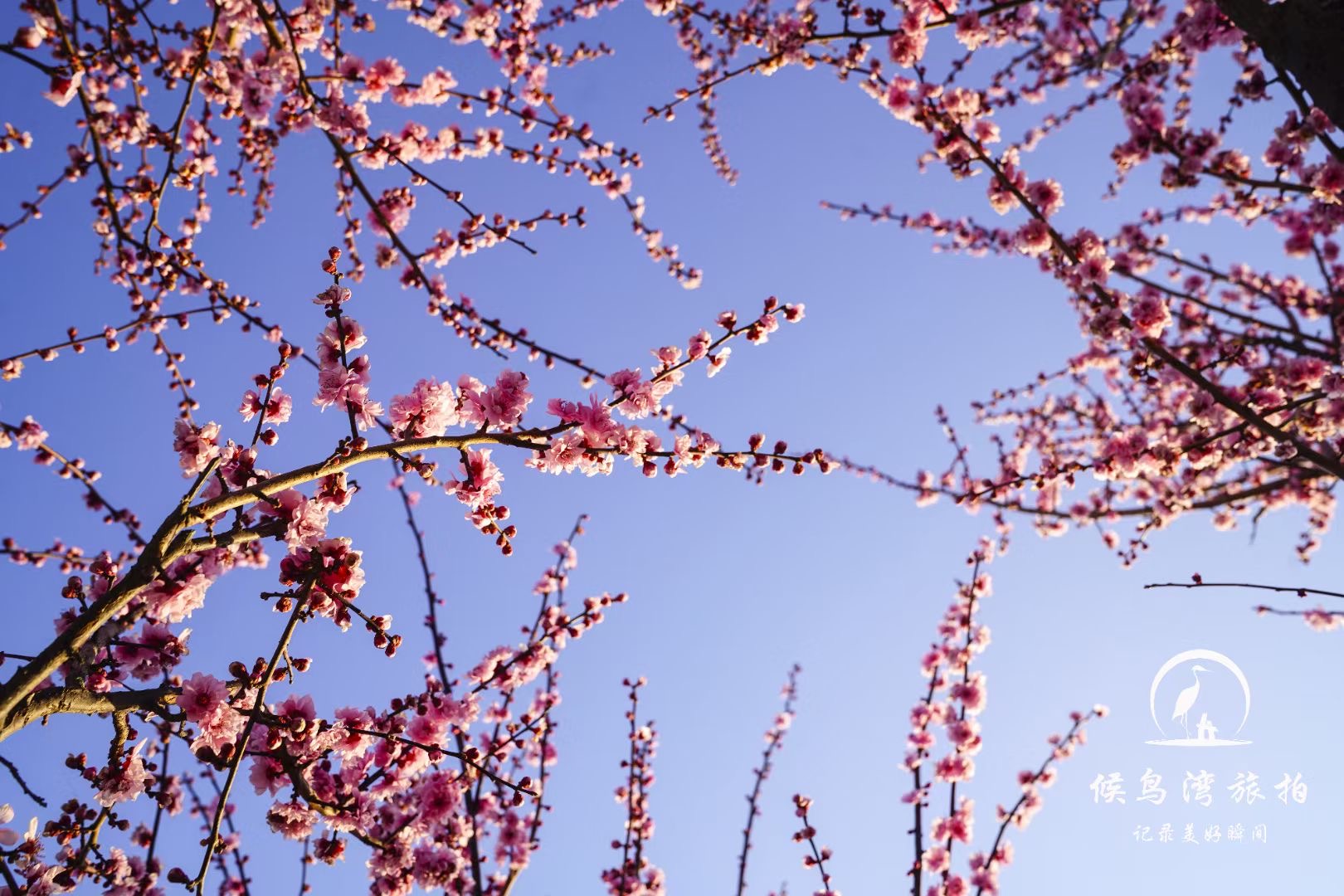 麗江拉市海候鳥(niǎo)灣戶(hù)外拓展基地