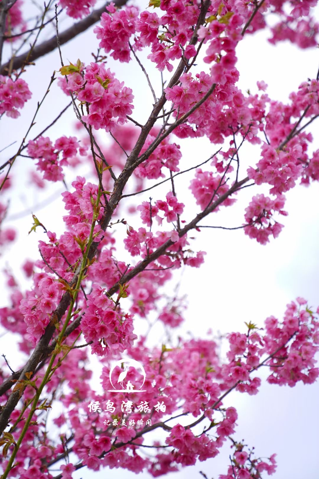 麗江拉市海候鳥(niǎo)灣戶(hù)外拓展基地