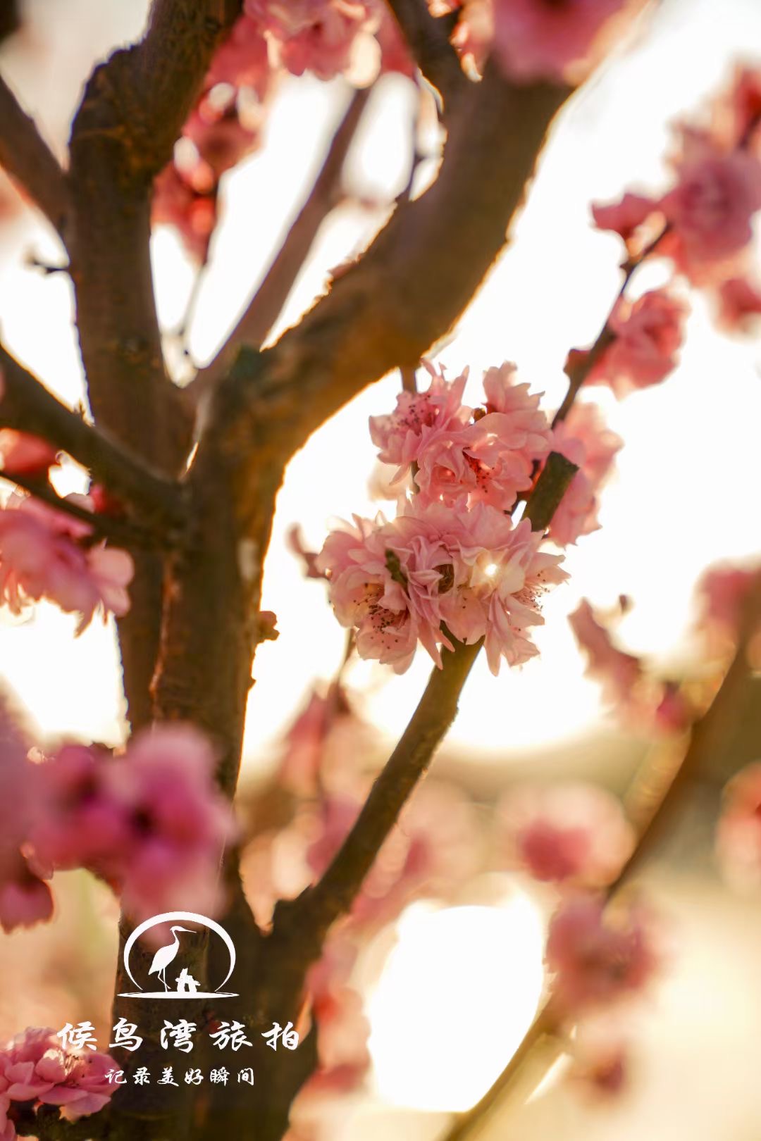 麗江拉市海候鳥(niǎo)灣戶(hù)外拓展基地