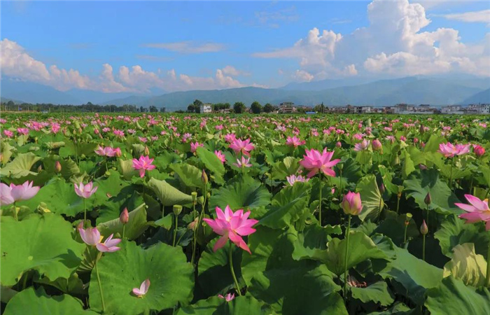 去永勝，開啟一段人文風(fēng)情的絕美之旅！