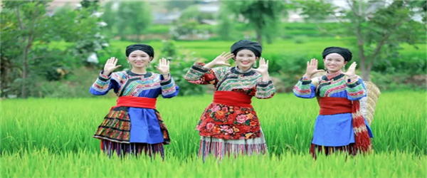 相約水鄉(xiāng)，邂逅激情！華坪縣新莊鄉(xiāng)首屆鄉(xiāng)村旅游節(jié)即將開幕