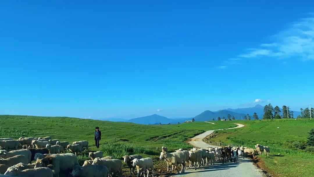 草原、花海！麗江竟藏著這樣一個(gè)秘境…