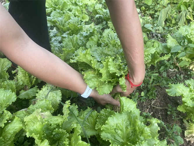 麗江納西生活體驗(yàn)團(tuán)建