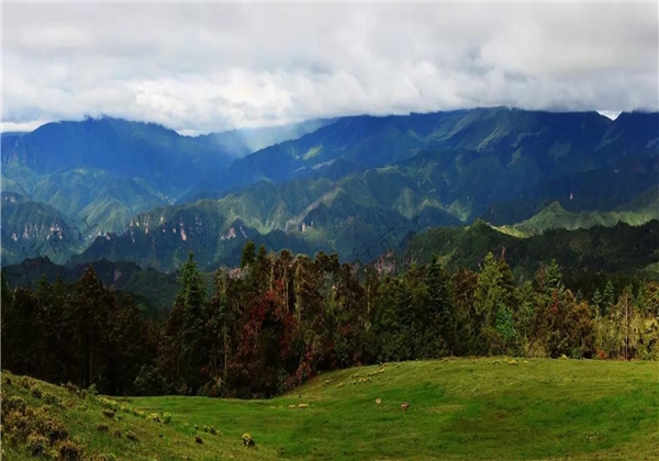不用去呼倫貝爾大草原，麗江這個“天上草原”美哭你！