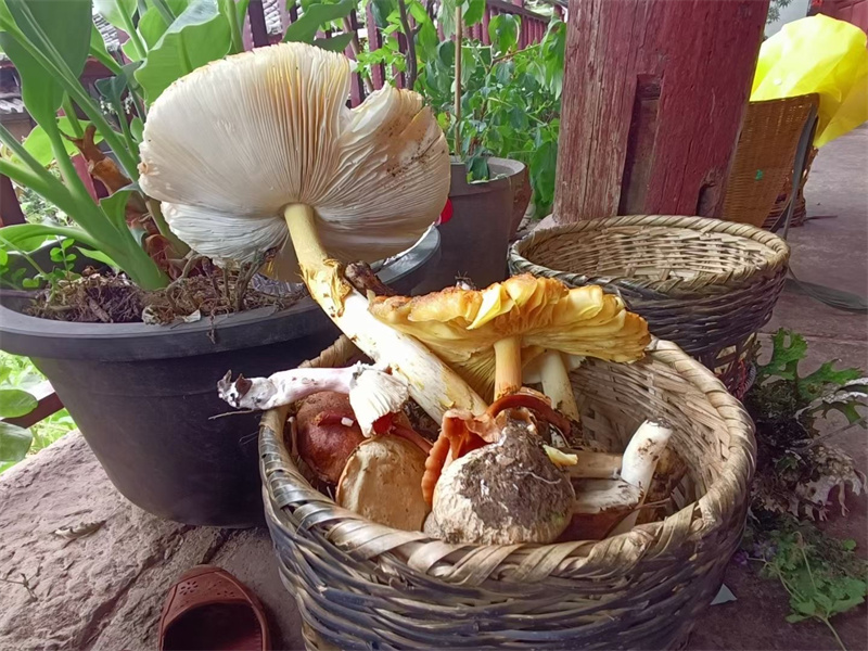 麗江石鼓鎮(zhèn)攀巖場(chǎng)