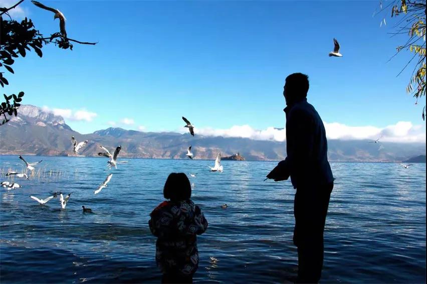 麗江傳媒公司：夢(mèng)境何處尋？——麗江打卡景點(diǎn)之瀘沽湖旅游攻略