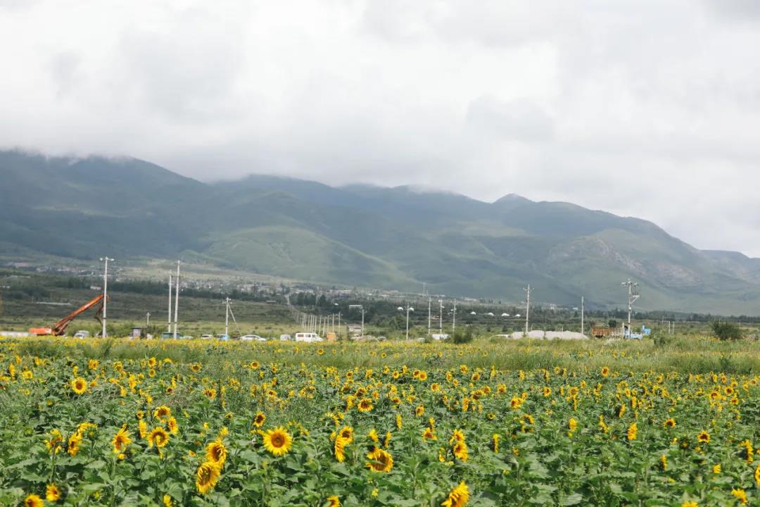 麗江傳媒公司：麗江這個(gè)“洛克故居”很有故事 是麗江小眾旅游景點(diǎn)之一