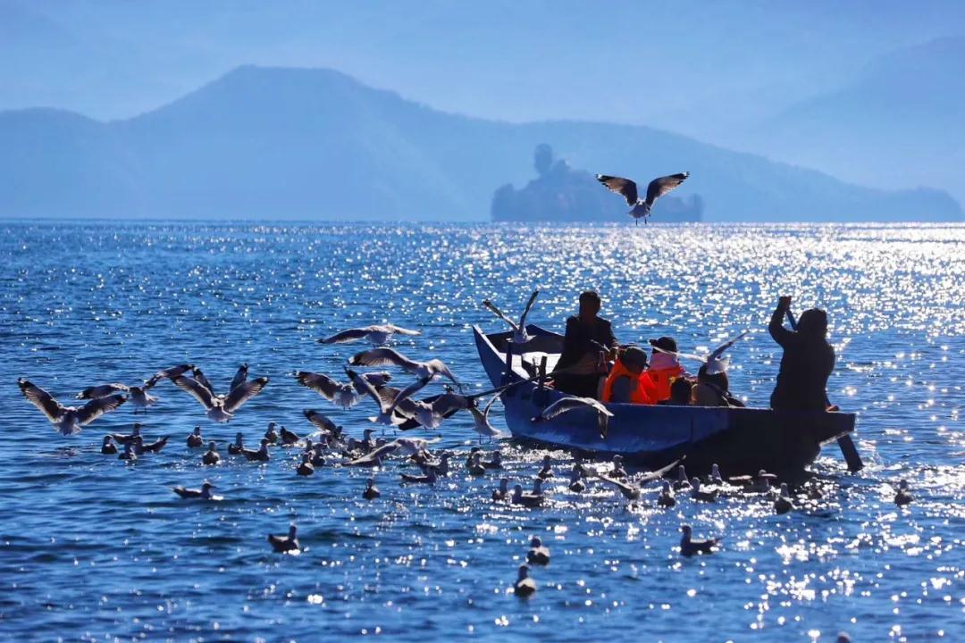 瀘沽湖，無(wú)數(shù)人前世今生的夢(mèng)！  麗江傳媒公司