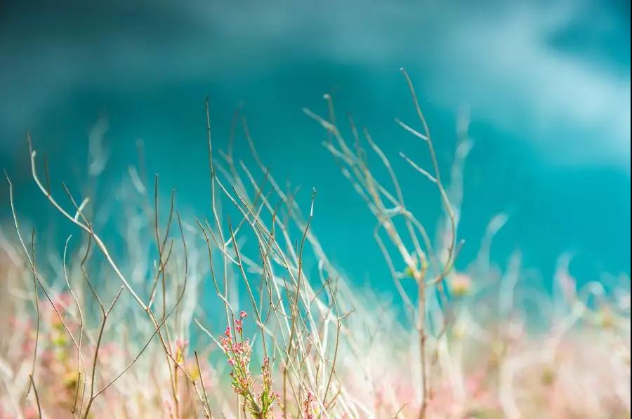 瀘沽湖，為什么讓你一去再去?   麗江傳媒公司