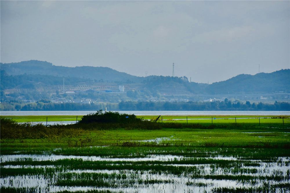 你能想到的所有詩(shī)情畫(huà)意，都藏在麗江深秋的拉市海里......也是麗江宴會(huì)策劃的首選之地