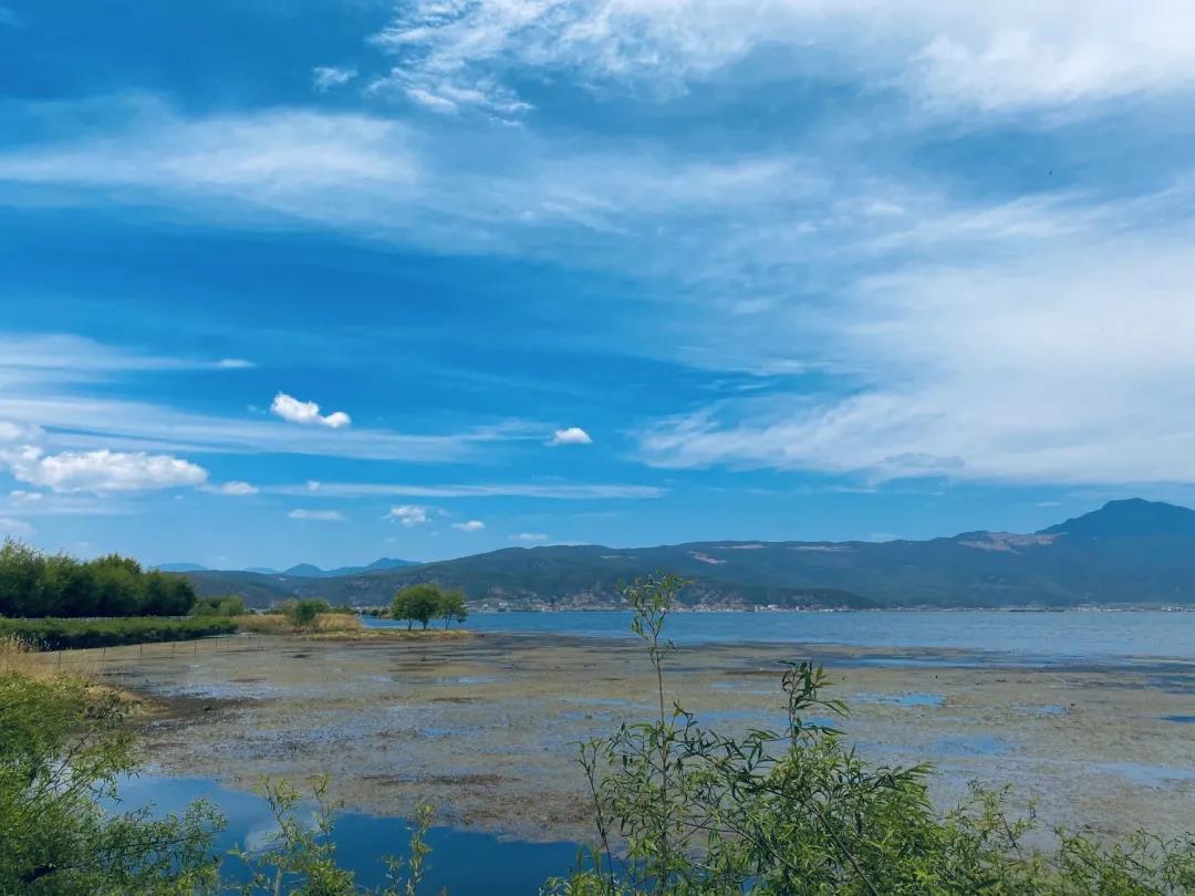 麗江拉市海最美季節(jié)！放眼望去宛如畫作~    麗江旅游攻略