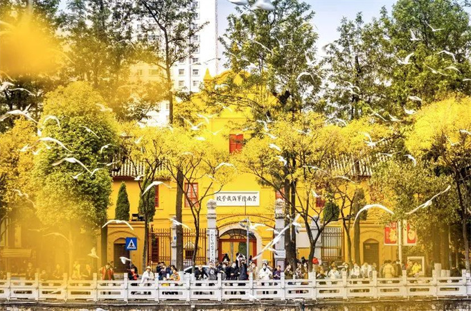 麗江旅游攻略：來云南邂逅不一樣的冬天，體驗麗江非遺文化