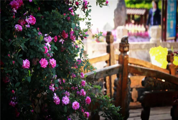 這里是麗江，現(xiàn)實(shí)中的“童話之境”