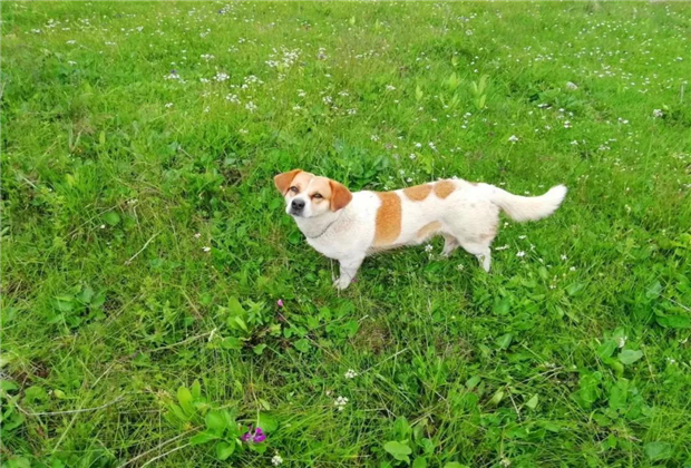 麗江沒有農(nóng)村，只有世外桃源……