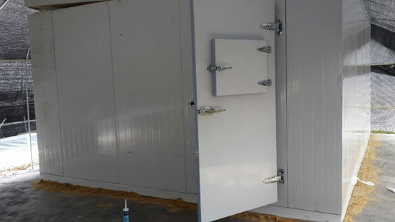 南沙好苗頭農(nóng)業(yè)有限公司冷庫(kù) 南沙好苗頭農(nóng)業(yè)有限公司冷庫(kù)